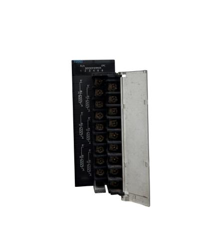 RTD INPUT UNIT